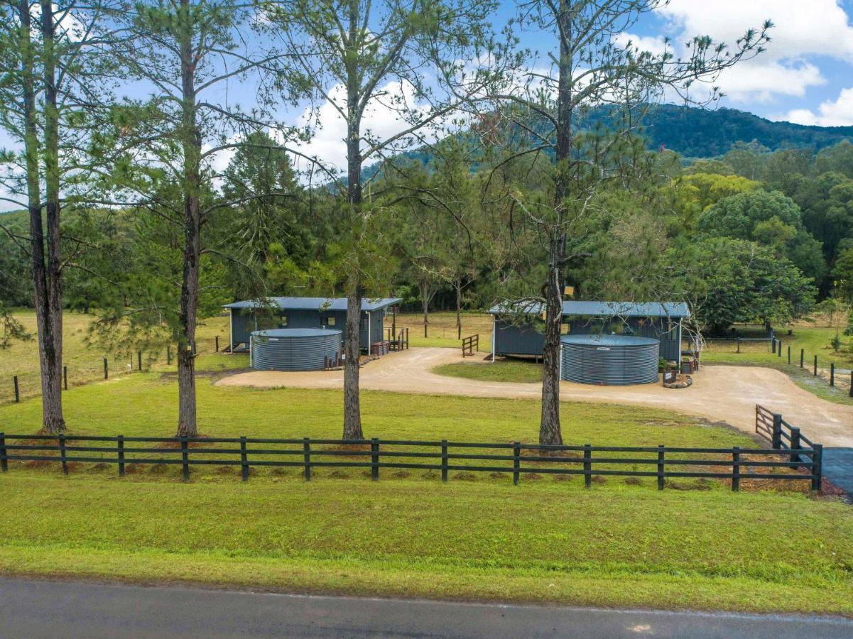 Contained In Nimbin Accommodation المظهر الخارجي الصورة